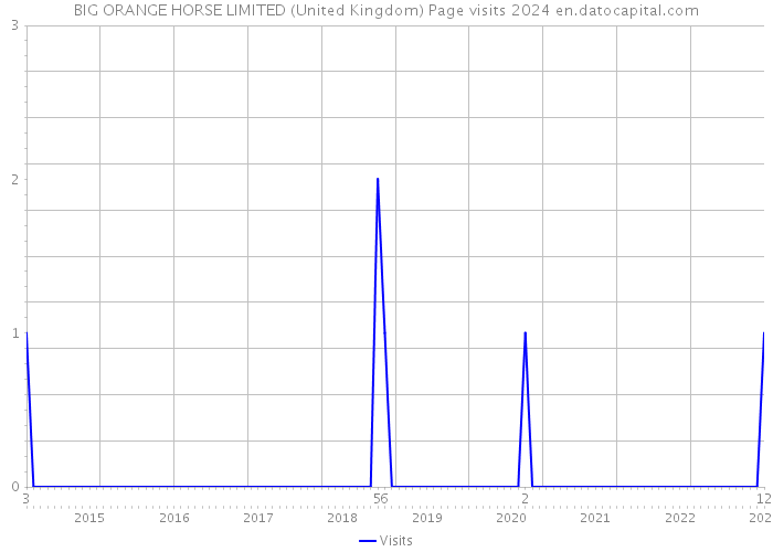 BIG ORANGE HORSE LIMITED (United Kingdom) Page visits 2024 