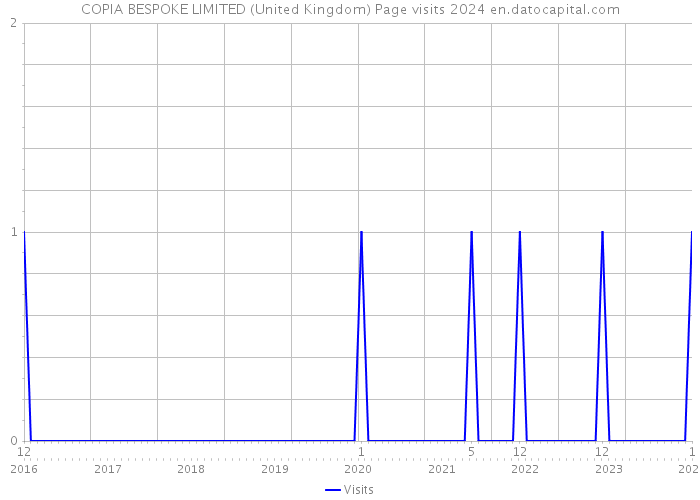 COPIA BESPOKE LIMITED (United Kingdom) Page visits 2024 