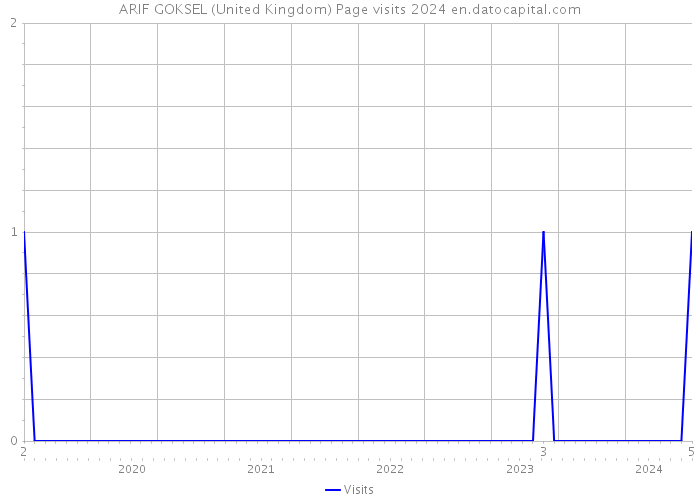 ARIF GOKSEL (United Kingdom) Page visits 2024 