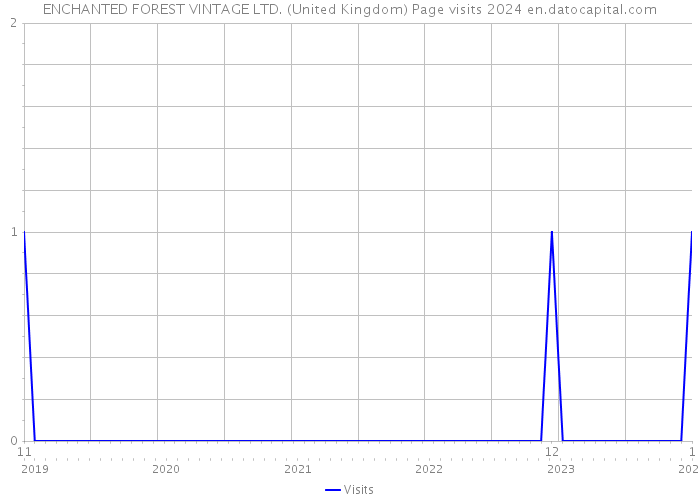 ENCHANTED FOREST VINTAGE LTD. (United Kingdom) Page visits 2024 