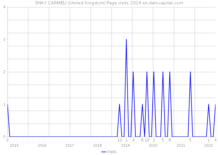 SHAY CARMELI (United Kingdom) Page visits 2024 