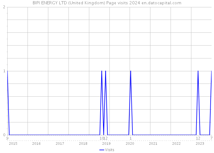BIPI ENERGY LTD (United Kingdom) Page visits 2024 
