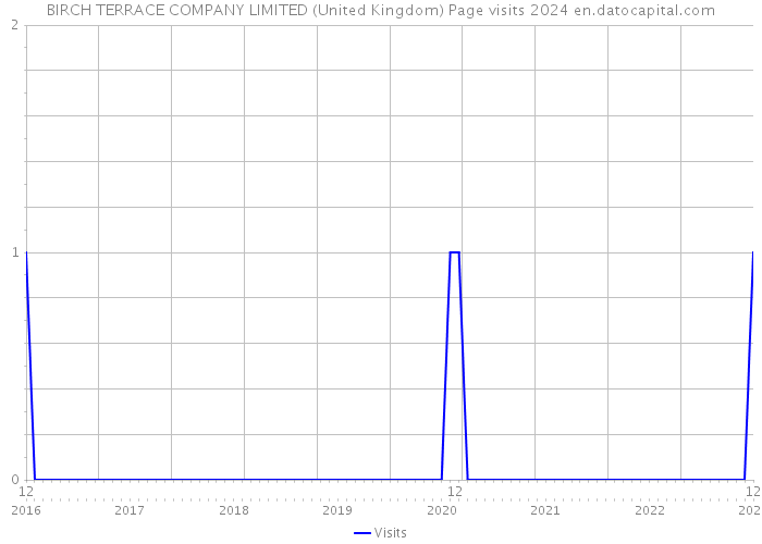BIRCH TERRACE COMPANY LIMITED (United Kingdom) Page visits 2024 