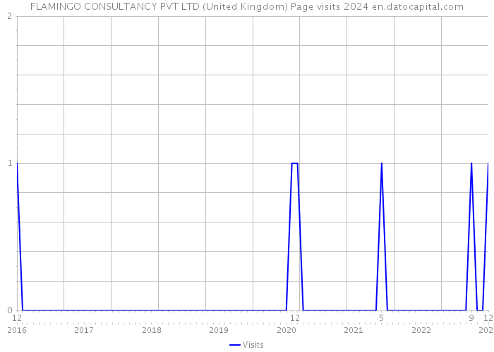 FLAMINGO CONSULTANCY PVT LTD (United Kingdom) Page visits 2024 