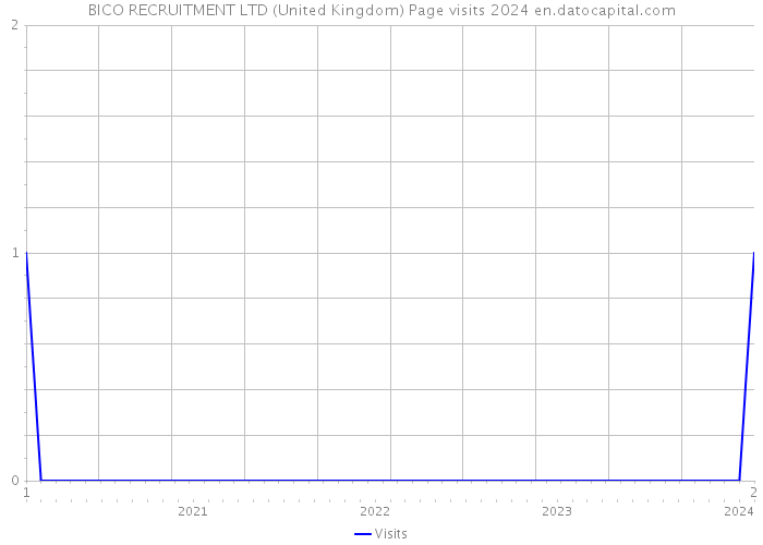 BICO RECRUITMENT LTD (United Kingdom) Page visits 2024 