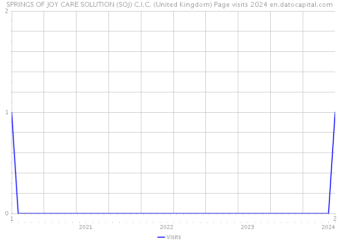 SPRINGS OF JOY CARE SOLUTION (SOJ) C.I.C. (United Kingdom) Page visits 2024 