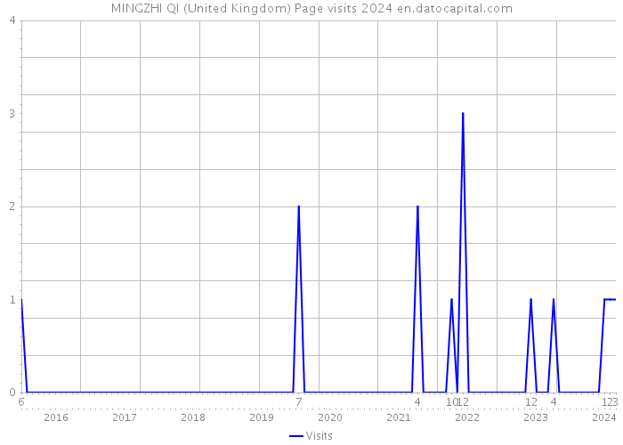 MINGZHI QI (United Kingdom) Page visits 2024 
