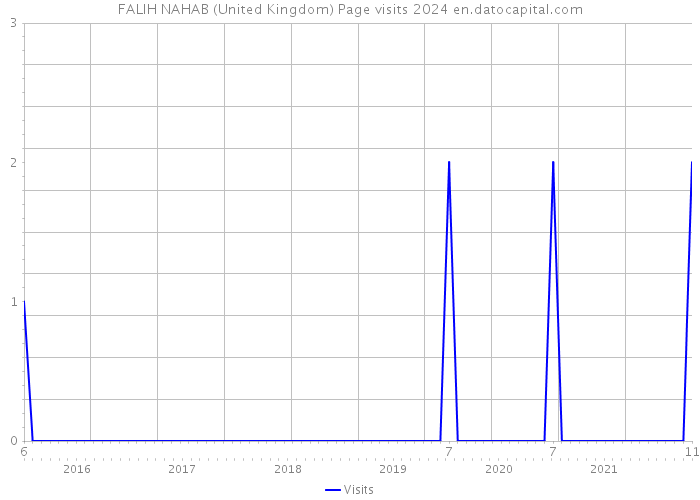 FALIH NAHAB (United Kingdom) Page visits 2024 