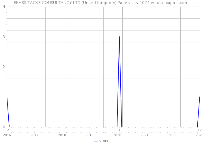 BRASS TACKS CONSULTANCY LTD (United Kingdom) Page visits 2024 