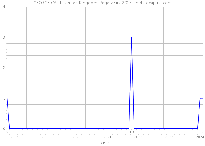 GEORGE CALIL (United Kingdom) Page visits 2024 