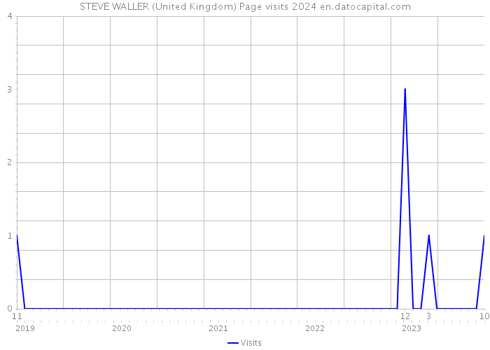 STEVE WALLER (United Kingdom) Page visits 2024 