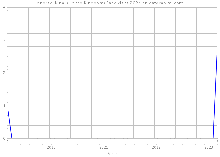 Andrzej Kinal (United Kingdom) Page visits 2024 