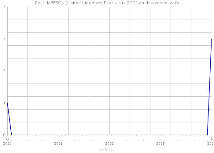 PAUL MEESON (United Kingdom) Page visits 2024 