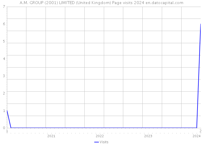 A.M. GROUP (2001) LIMITED (United Kingdom) Page visits 2024 