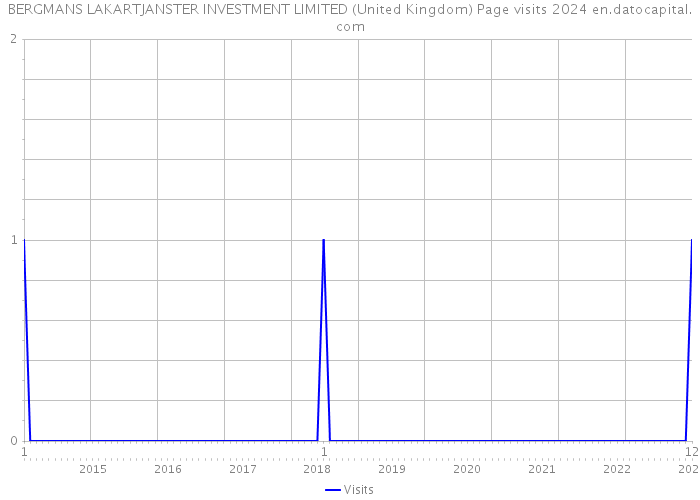 BERGMANS LAKARTJANSTER INVESTMENT LIMITED (United Kingdom) Page visits 2024 