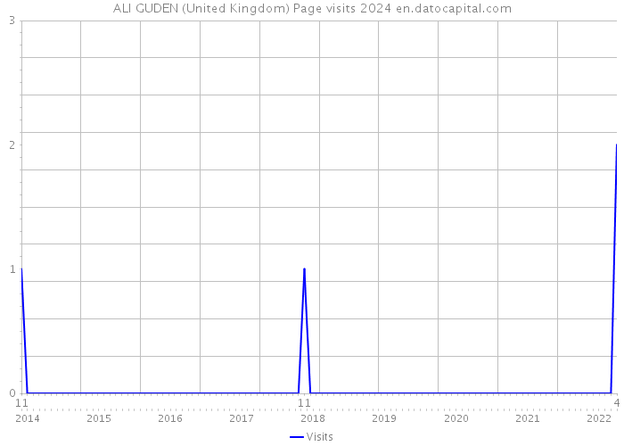 ALI GUDEN (United Kingdom) Page visits 2024 