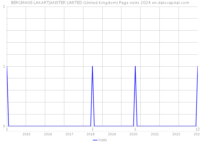 BERGMANS LAKARTJANSTER LIMITED (United Kingdom) Page visits 2024 