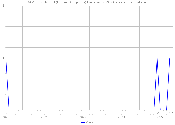 DAVID BRUNSON (United Kingdom) Page visits 2024 