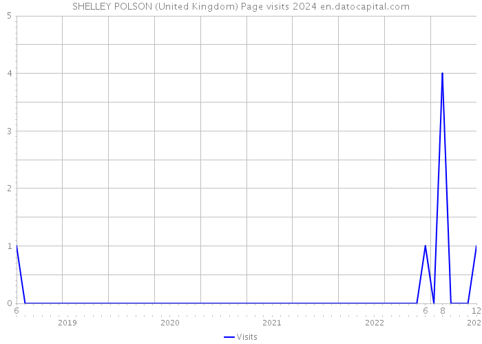 SHELLEY POLSON (United Kingdom) Page visits 2024 