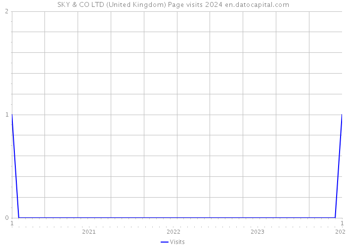 SKY & CO LTD (United Kingdom) Page visits 2024 
