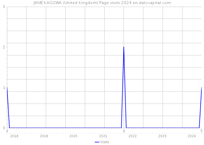 JANE KAGGWA (United Kingdom) Page visits 2024 