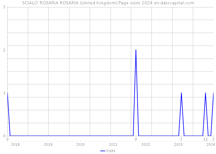 SCIALO' ROSARIA ROSARIA (United Kingdom) Page visits 2024 