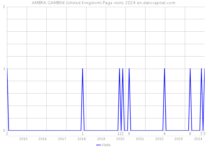 AMBRA GAMBINI (United Kingdom) Page visits 2024 