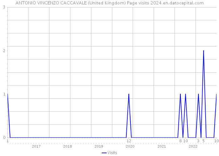 ANTONIO VINCENZO CACCAVALE (United Kingdom) Page visits 2024 