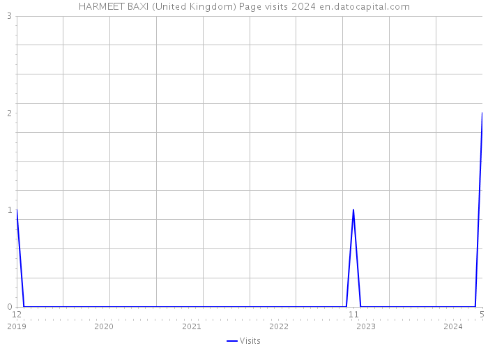 HARMEET BAXI (United Kingdom) Page visits 2024 