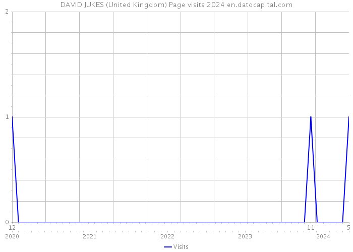 DAVID JUKES (United Kingdom) Page visits 2024 