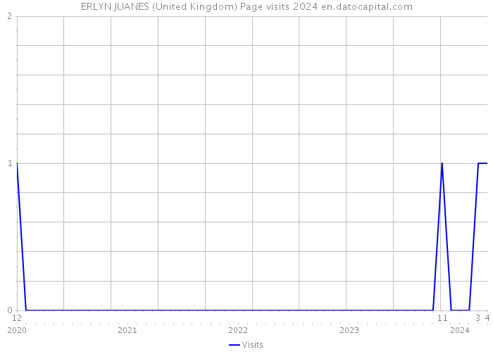ERLYN JUANES (United Kingdom) Page visits 2024 