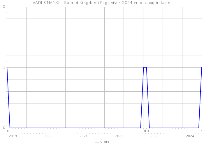 VADI SINANKILI (United Kingdom) Page visits 2024 