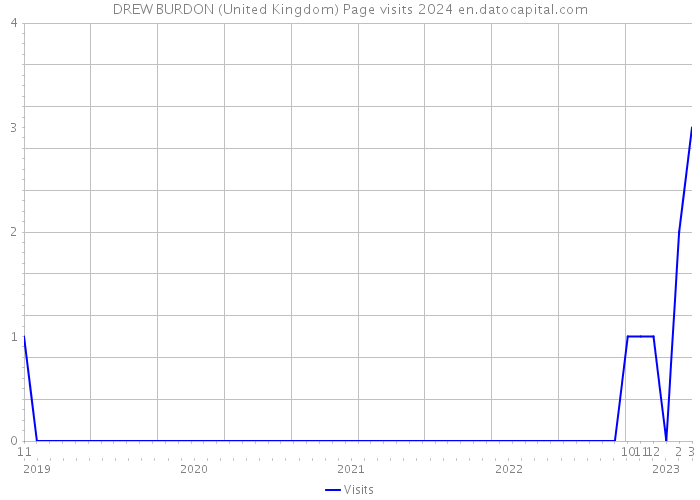 DREW BURDON (United Kingdom) Page visits 2024 