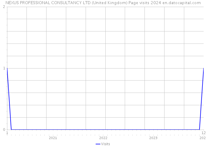 NEXUS PROFESSIONAL CONSULTANCY LTD (United Kingdom) Page visits 2024 