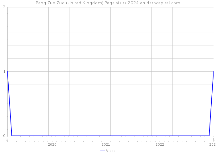 Peng Zuo Zuo (United Kingdom) Page visits 2024 