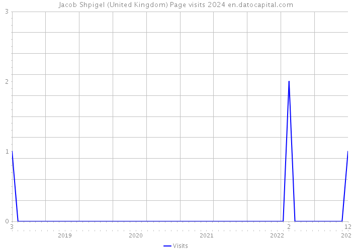 Jacob Shpigel (United Kingdom) Page visits 2024 