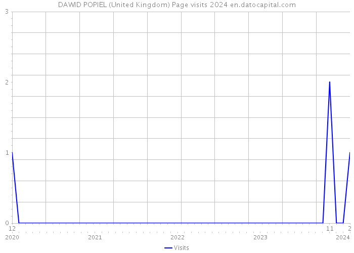 DAWID POPIEL (United Kingdom) Page visits 2024 