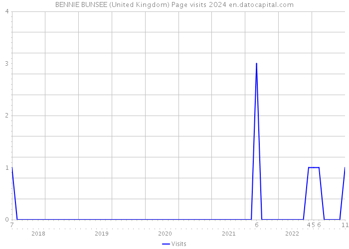 BENNIE BUNSEE (United Kingdom) Page visits 2024 
