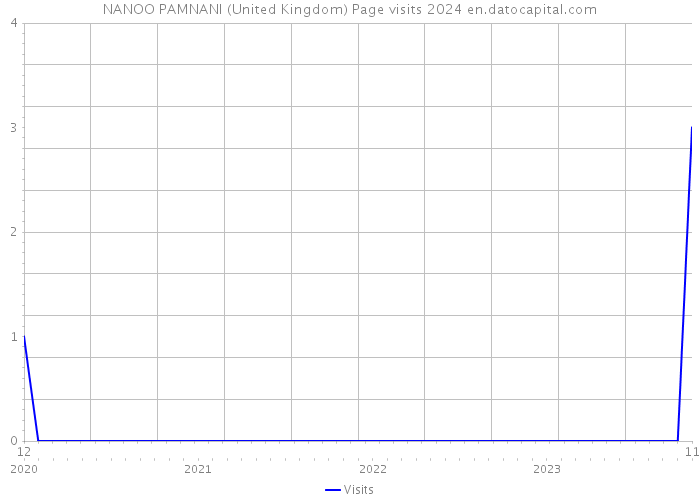 NANOO PAMNANI (United Kingdom) Page visits 2024 