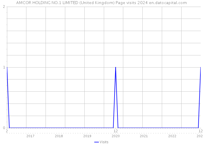 AMCOR HOLDING NO.1 LIMITED (United Kingdom) Page visits 2024 