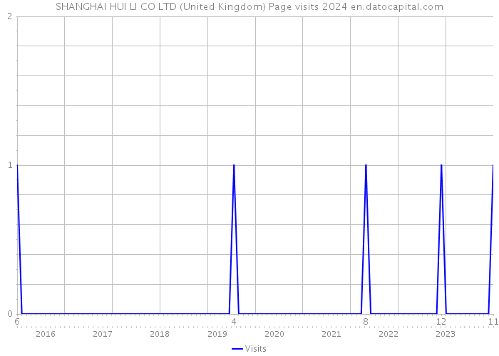 SHANGHAI HUI LI CO LTD (United Kingdom) Page visits 2024 