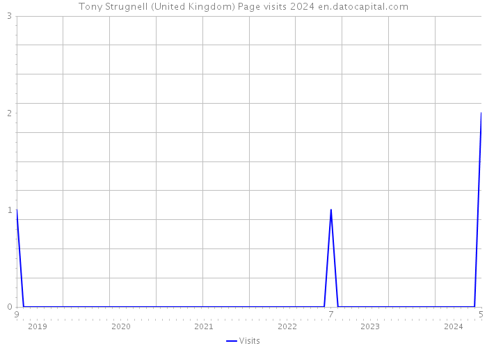 Tony Strugnell (United Kingdom) Page visits 2024 
