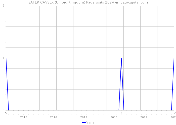 ZAFER CAVBER (United Kingdom) Page visits 2024 
