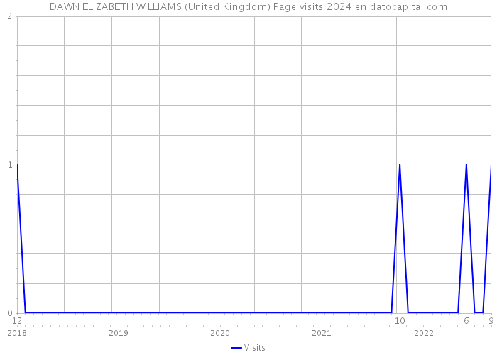 DAWN ELIZABETH WILLIAMS (United Kingdom) Page visits 2024 