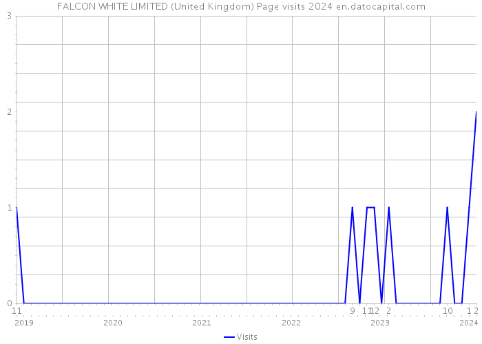 FALCON WHITE LIMITED (United Kingdom) Page visits 2024 