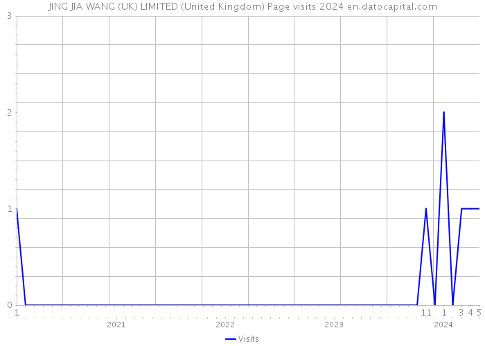 JING JIA WANG (UK) LIMITED (United Kingdom) Page visits 2024 