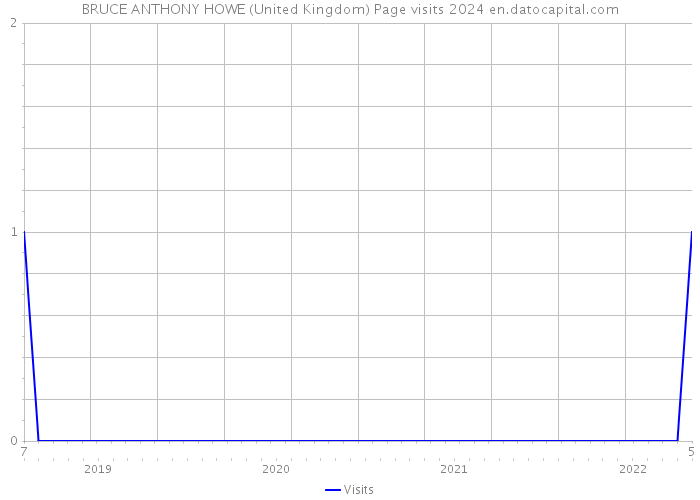 BRUCE ANTHONY HOWE (United Kingdom) Page visits 2024 