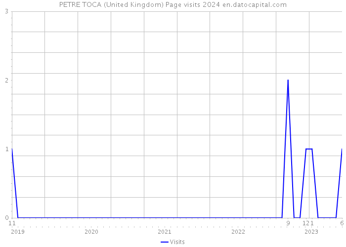 PETRE TOCA (United Kingdom) Page visits 2024 