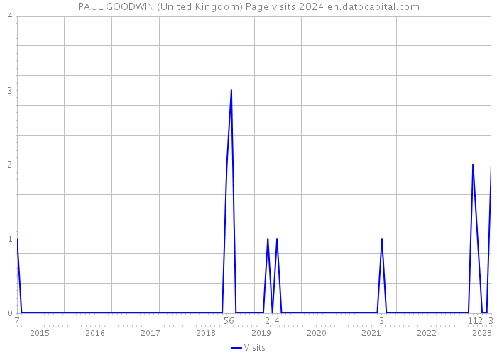 PAUL GOODWIN (United Kingdom) Page visits 2024 