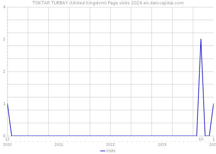 TOKTAR TURBAY (United Kingdom) Page visits 2024 